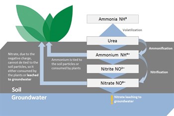 Sustainability is preventing Nitrogen leaching to groundwater