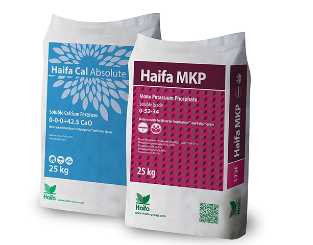 Haifa MKP