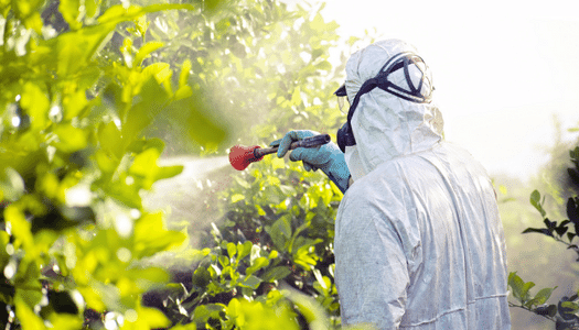 Fertilizers and Pesticides: What You Need to Know