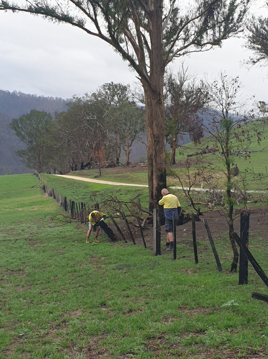 Peter and volunteer Alan removing fencing wire from a burnt fence.