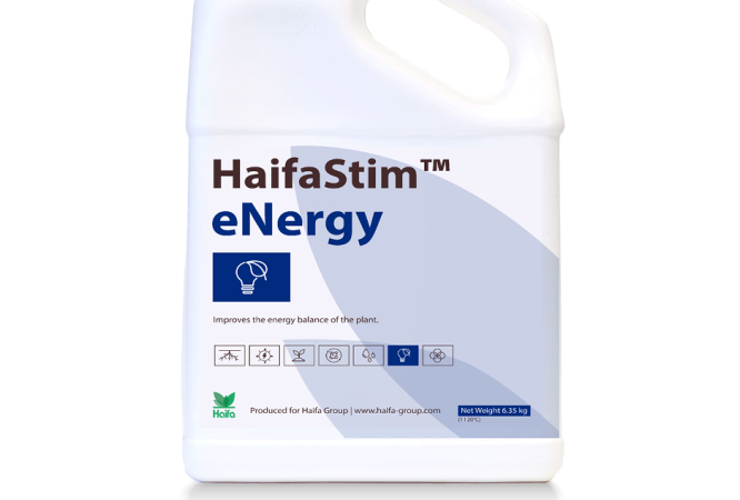 HaifaStim™ eNergy