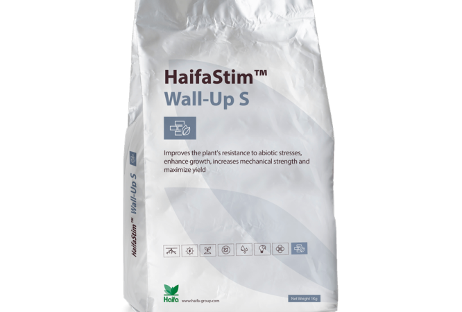 HaifaStim™ Wall-Up S