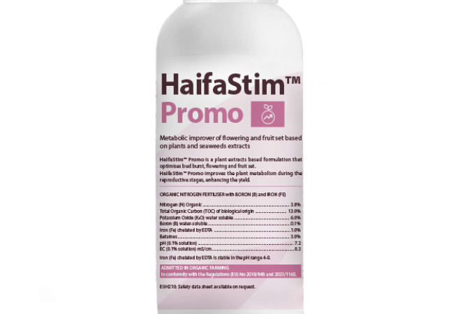 HaifaStim™ Promo